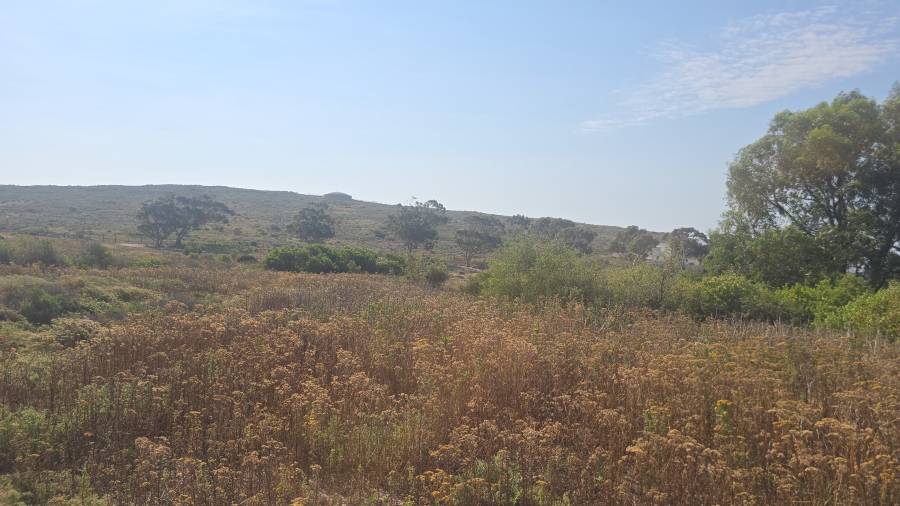 0 Bedroom Property for Sale in St Helena Views Western Cape